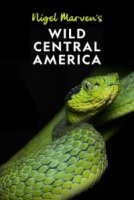 Дикая Центральная Америка с Найджелом Марвеном/Nigel Marvens Wild Central America