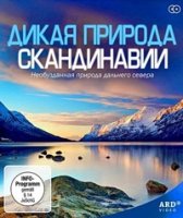 Дикая природа Скандинавии/Wildes Skandinavien