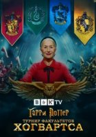 Гарри Поттер: Турнир факультетов Хогвартса/Harry Potter: Hogwarts Tournament of Houses
