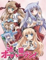 Нашествие бродячих кошек!/Mayoi Neko Overrun!