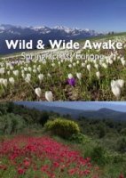 Пробуждение дикой природы - европейская весна/Wild & Wide Awake - Spring Across Europe