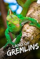 Земля гремлинов/Land of Gremlins