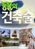 Животные-строители/Animal builders