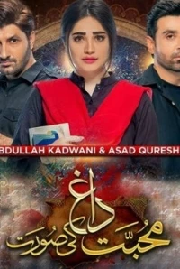 Шрамы любви/Mohabbat Dagh Ki Soorat