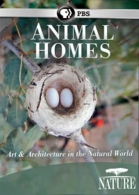 Жилища животных/Animal Homes