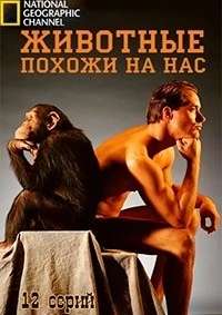 Животные похожи на нас/Animals Like Us