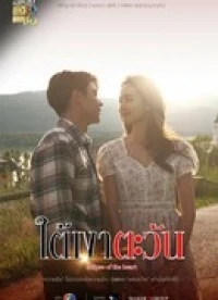 Отражение солнца/Eclipse of the Heart