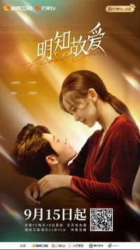 Первый выбор/First Choice