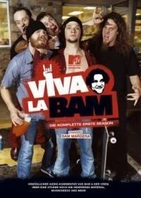Вива ля Бэм/Viva la Bam 4 сезон