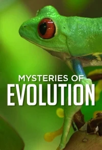 Загадки эволюции/Mysteries of Evolution